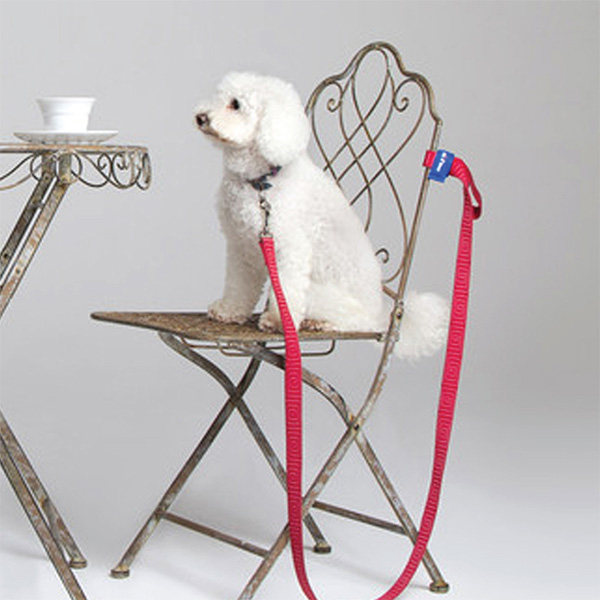 Sit N Stay dog security lead